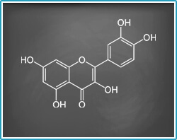 Endofortis protection against ARVI and COVID-19 virus infection